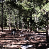 Review photo of M-K Campground by N I., October 28, 2021
