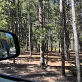 Review photo of M-K Campground by N I., October 28, 2021