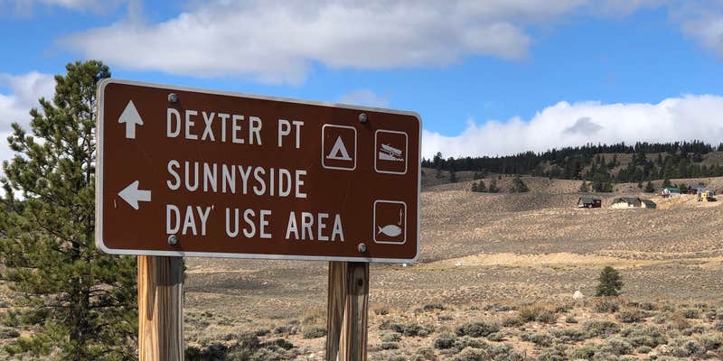 Camper submitted image from Sunnyside Fishing Site