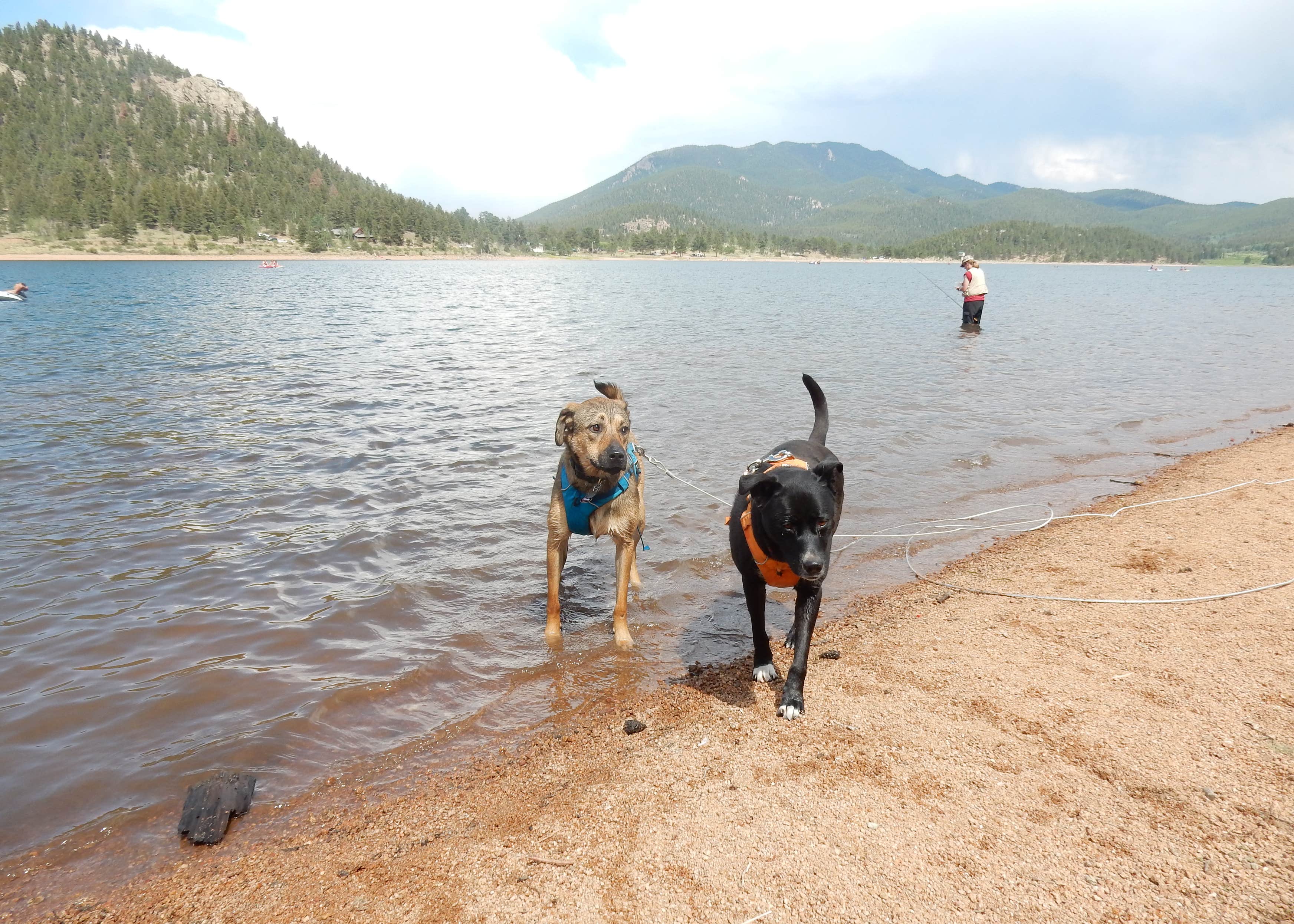 Castle Mountain Recreation Area at Wellington Lake Camping The Dyrt