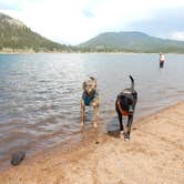 Review photo of Castle Mountain Recreation Area at Wellington Lake by Patty F., July 6, 2018