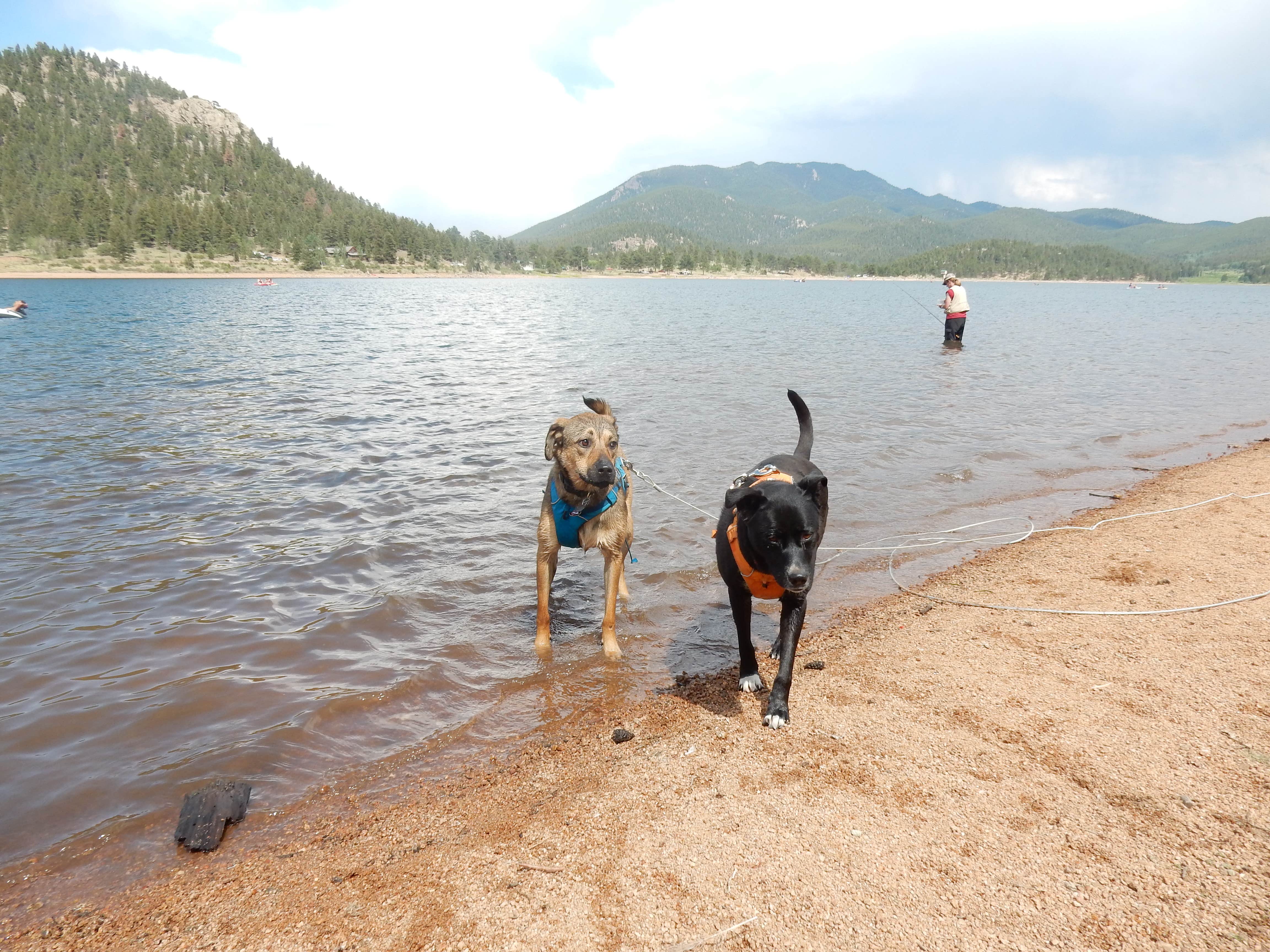 Camper submitted image from Castle Mountain Recreation Area at Wellington Lake - 1