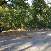 Review photo of Squirrel Trail Campground by Dexter I., October 28, 2021