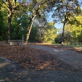 Review photo of Twin Bridges Squirrel Trail Campground — Grand Lake State Park by Dexter I., October 28, 2021