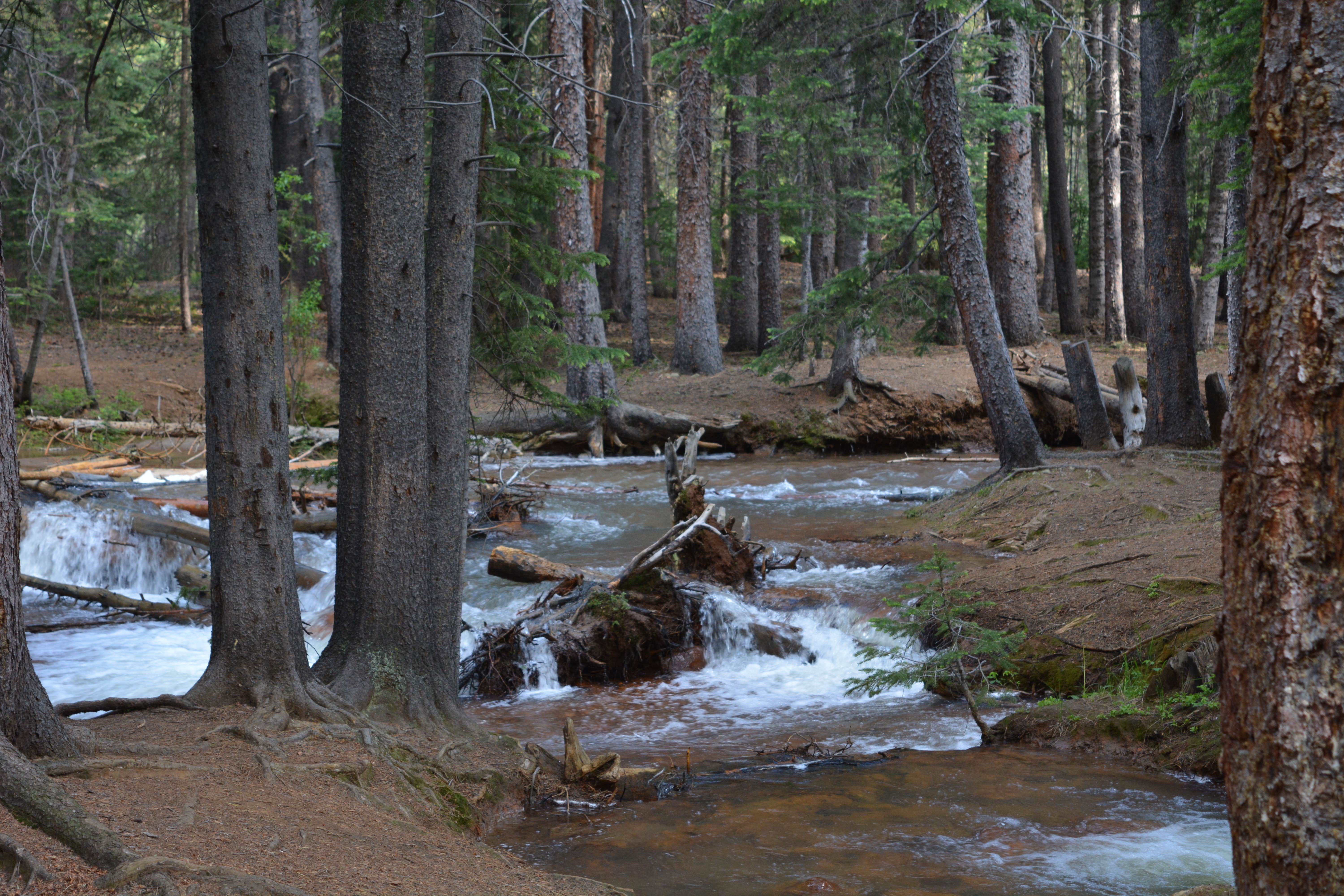 Camper submitted image from Handcart Campground - 2