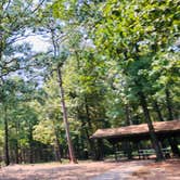 Review photo of COE Greers Ferry Lake Narrows Campground by N I., October 28, 2021