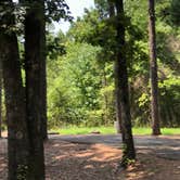 Review photo of COE Greers Ferry Lake Narrows Campground by N I., October 28, 2021