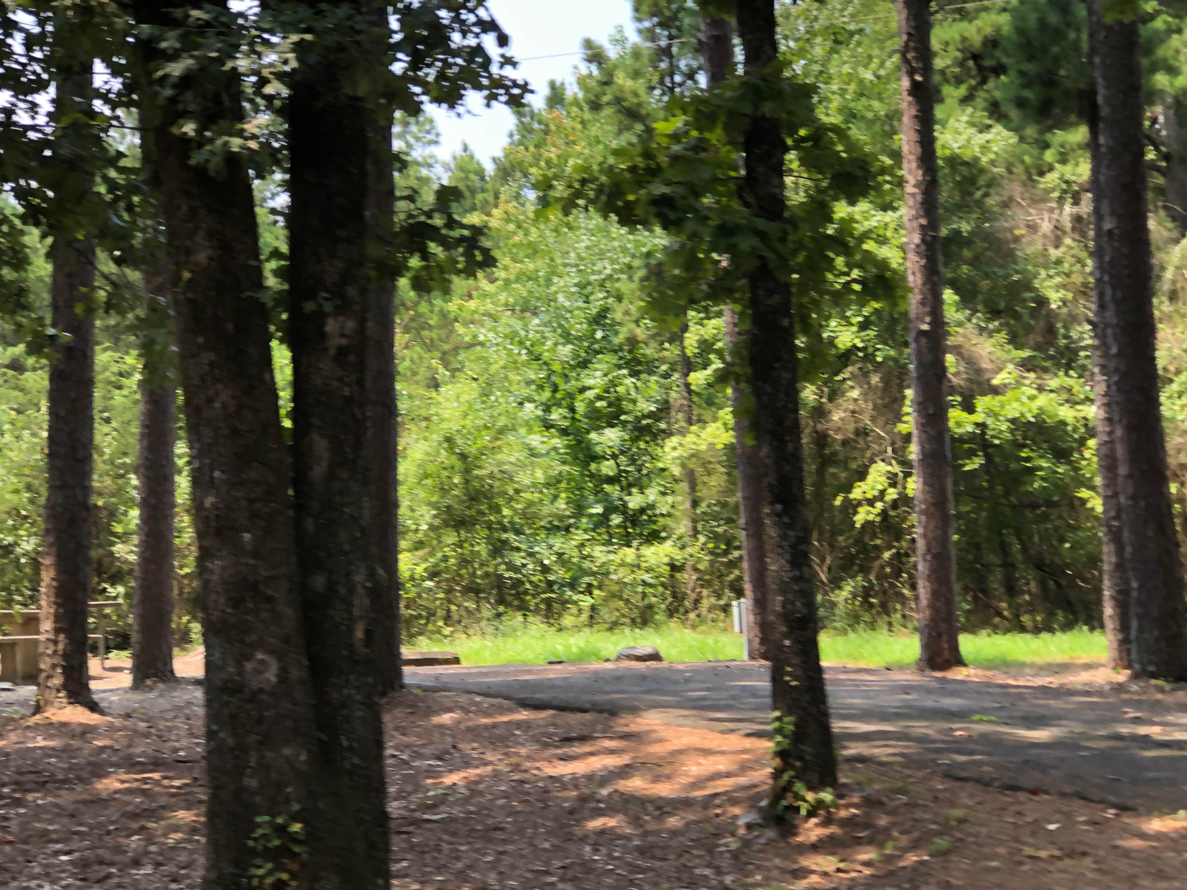 Camper submitted image from COE Greers Ferry Lake Narrows Campground - 3