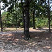 Review photo of COE Greers Ferry Lake Narrows Campground by N I., October 28, 2021