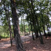 Review photo of COE Greers Ferry Lake Old Highway 25 Campground by N I., October 28, 2021