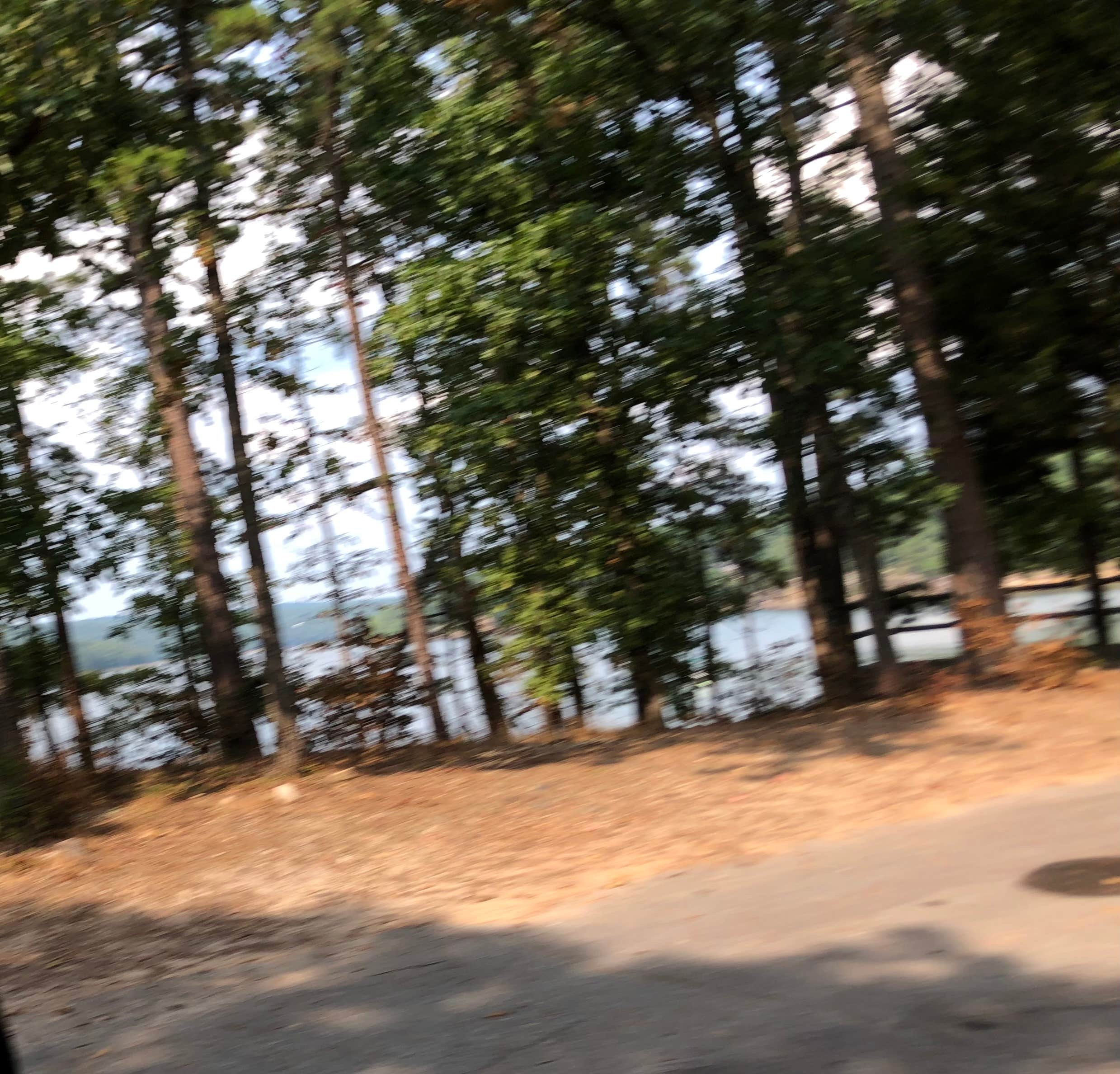 Camper-submitted photo at Sugar Loaf near Greers Ferry Lake