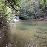 Review photo of Sarah's Creek Campground (Clayton, Ga) — Chattahoochee Oconee National Forest by Thomas R., October 28, 2021