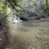 Review photo of Sarah's Creek Campground by Thomas R., October 28, 2021