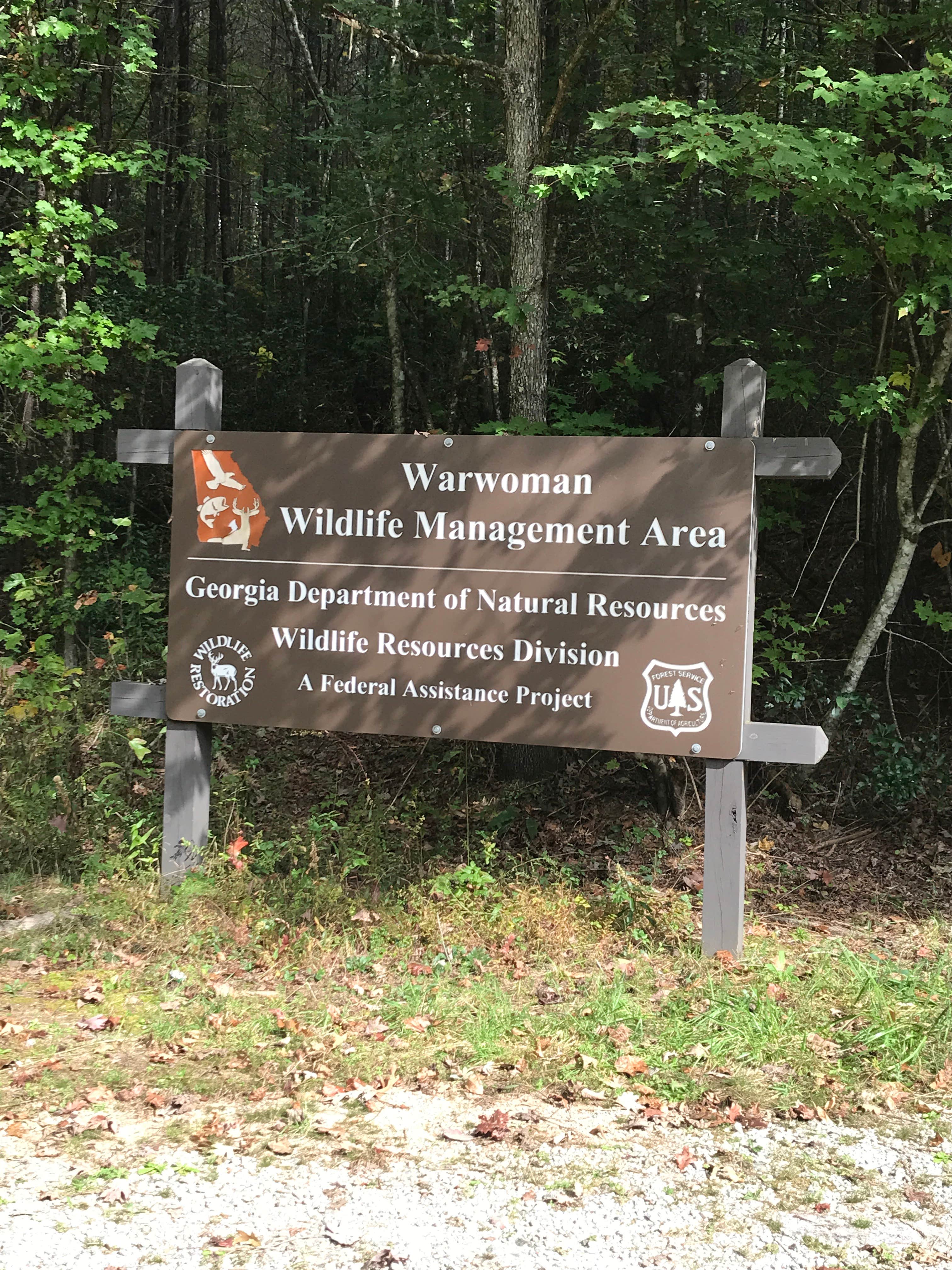 Camper submitted image from Sarah's Creek Campground (Clayton, Ga) — Chattahoochee Oconee National Forest - 4