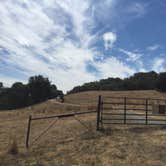 Review photo of Las Trampas Regional Wilderness by Stuart K., October 28, 2021