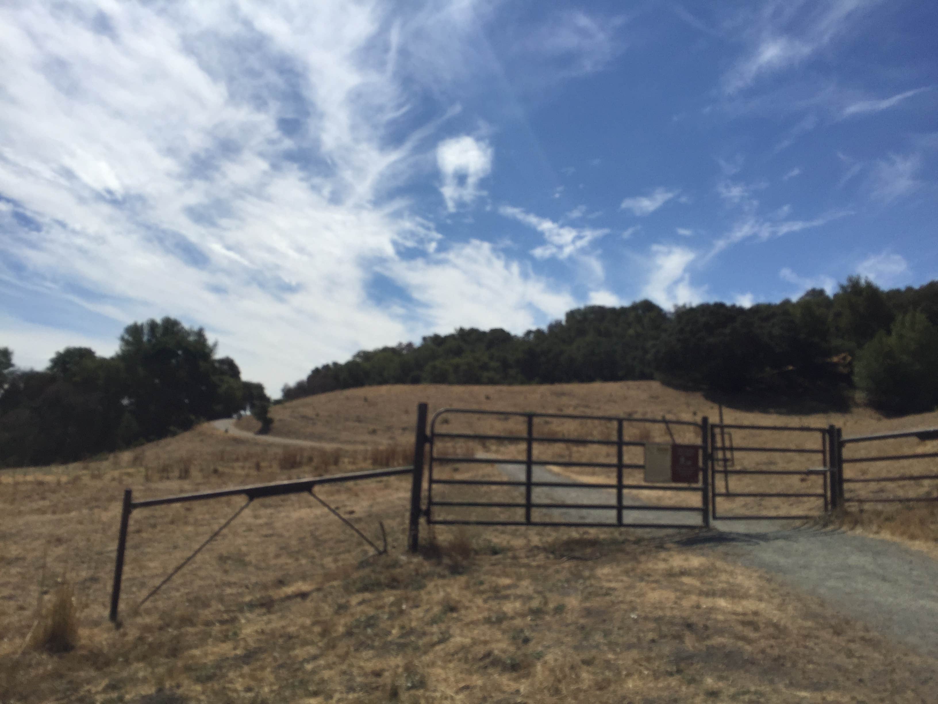 Camper submitted image from Las Trampas Regional Wilderness - 1