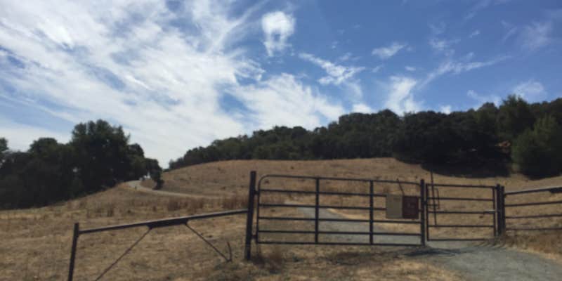 Camper submitted image from Las Trampas Regional Wilderness