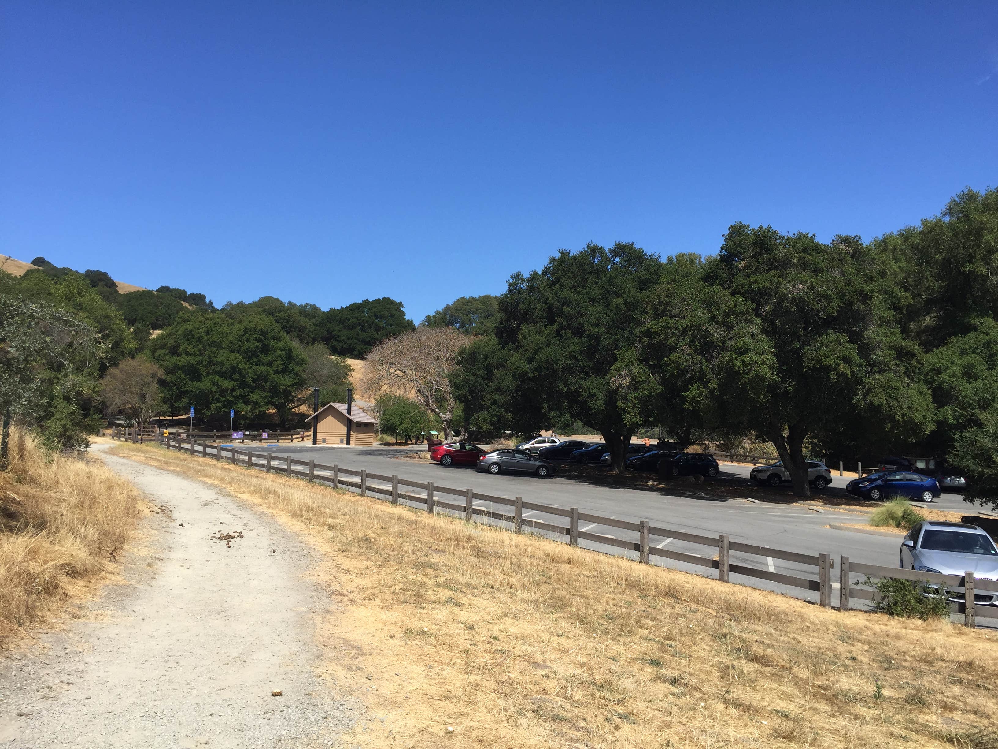 Camper-submitted photo at Las Trampas Regional Wilderness near Alamo, CA