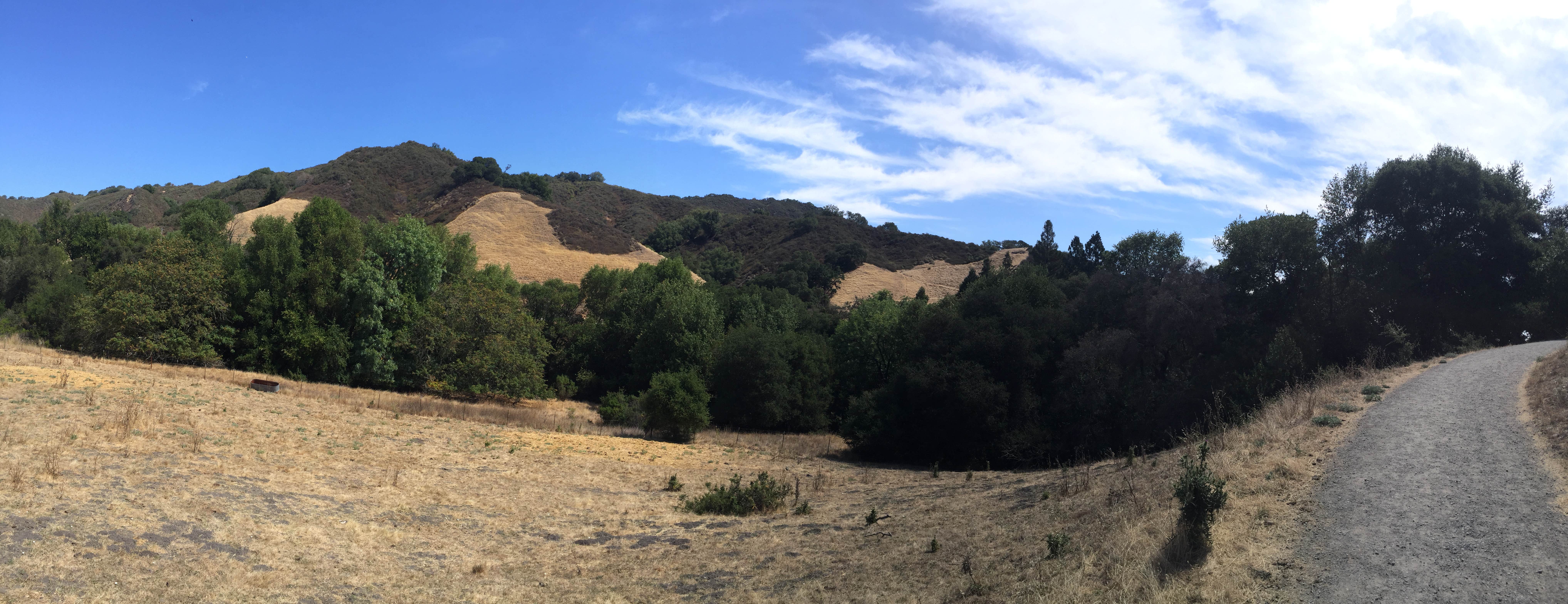 Camper-submitted photo at Las Trampas Regional Wilderness near Alamo, CA