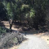 Review photo of Las Trampas Regional Wilderness by Stuart K., October 28, 2021