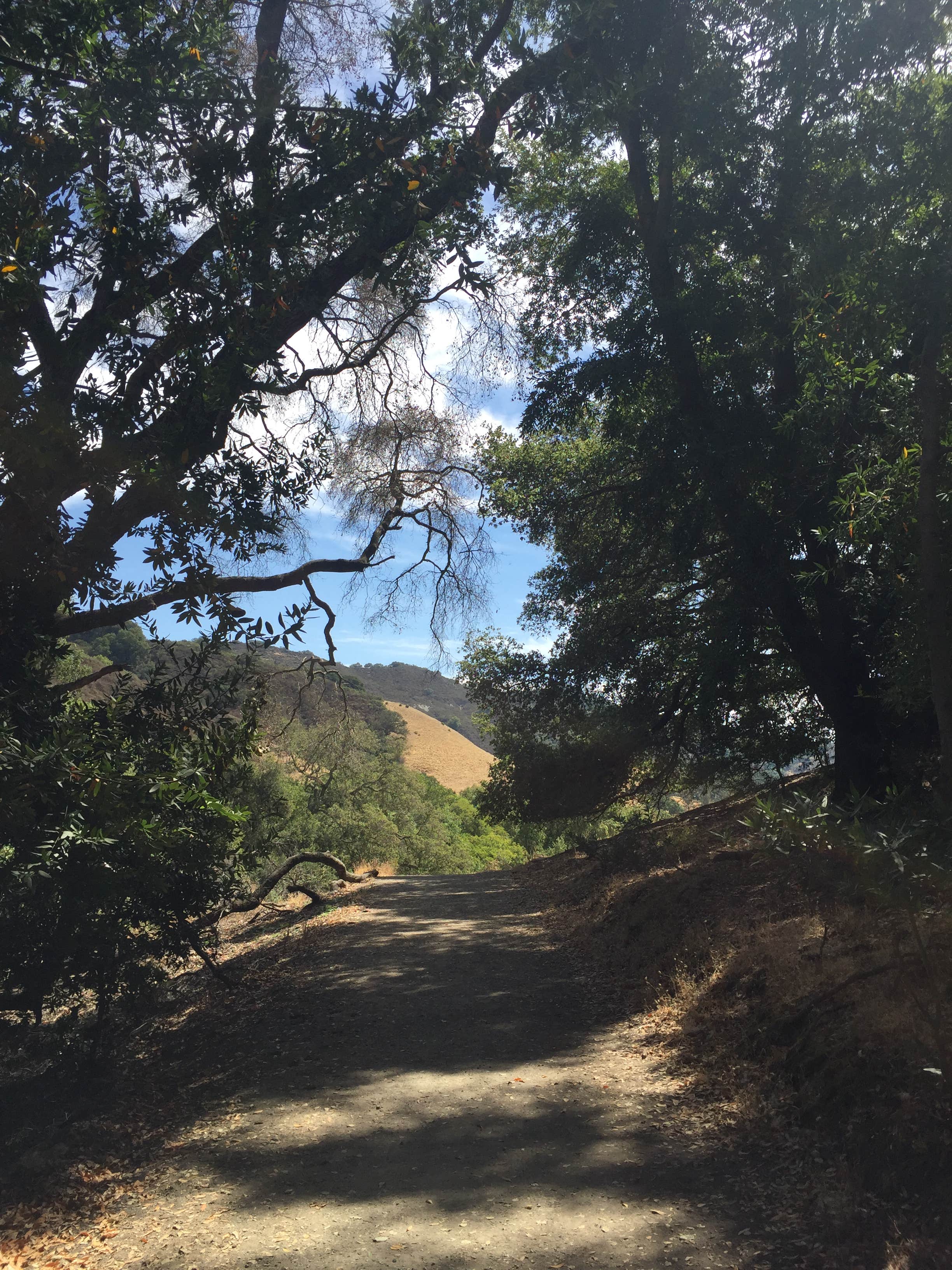Camper-submitted photo at Las Trampas Regional Wilderness near Alamo, CA