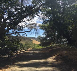Camper-submitted photo from Las Trampas Regional Wilderness