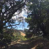 Review photo of Las Trampas Regional Wilderness by Stuart K., October 28, 2021