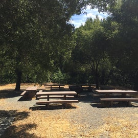 Plenty of stone picnic tables - some in shade others in the sun