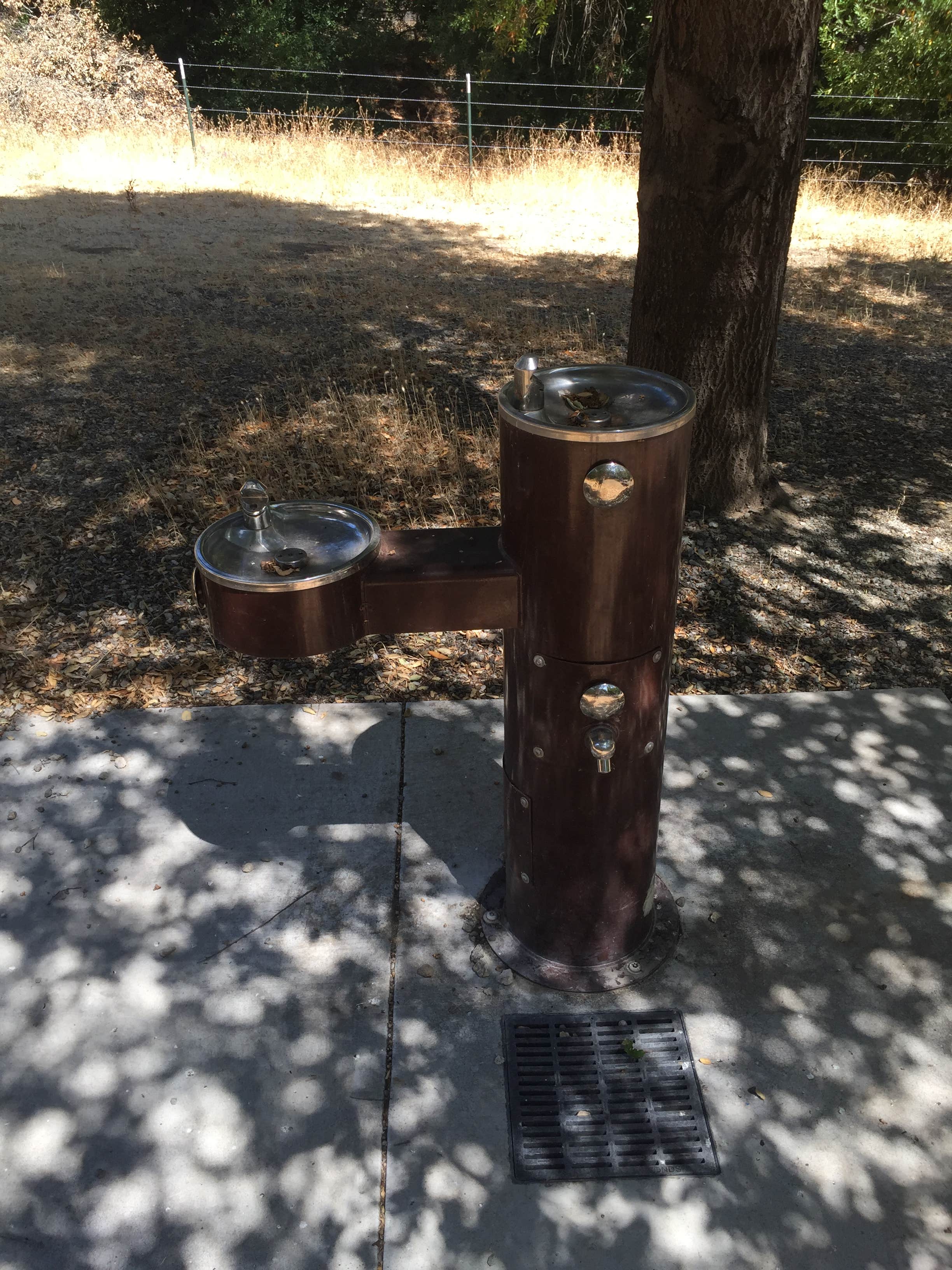 Camper submitted image from Las Trampas Regional Wilderness - 5