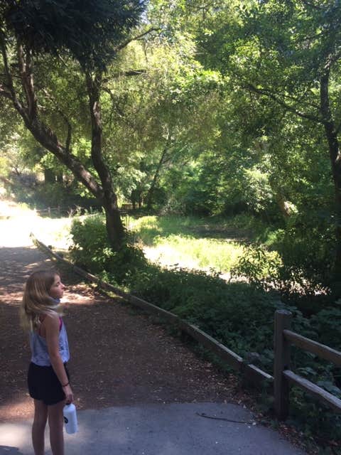 Camper-submitted photo at Tilden Regional Park near Martinez, CA