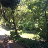 Review photo of Tilden Regional Park by Stuart K., October 28, 2021