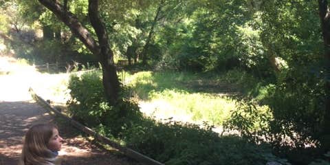 Camper submitted image from Tilden Regional Park