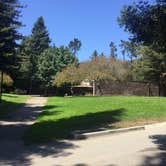 Review photo of Tilden Regional Park by Stuart K., October 28, 2021