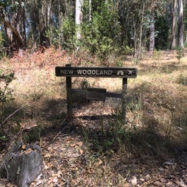 New Woodland campground