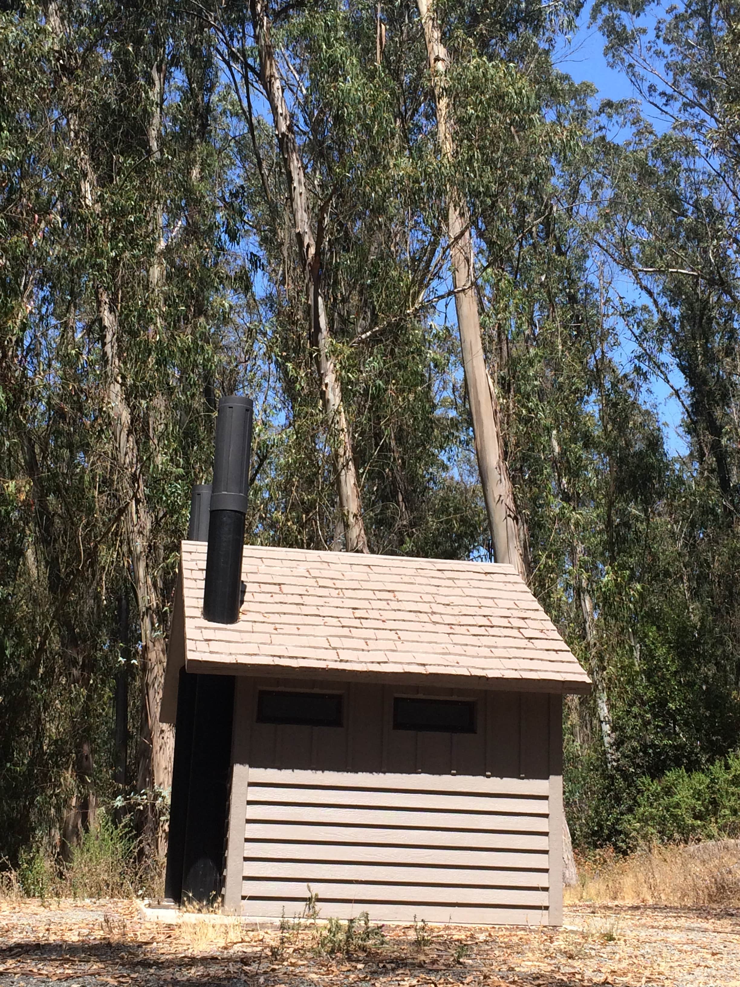 Camper submitted image from Tilden Regional Park - 3