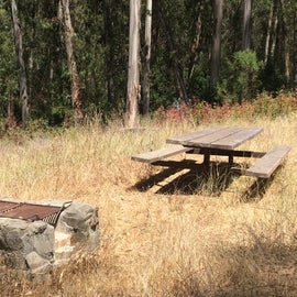 This place could be better taken care of (just cut the grass, Rangers!), and the grill is in excellent working condition, but the picnic tables could use some refinishing