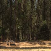 Review photo of Tilden Regional Park by Stuart K., October 28, 2021