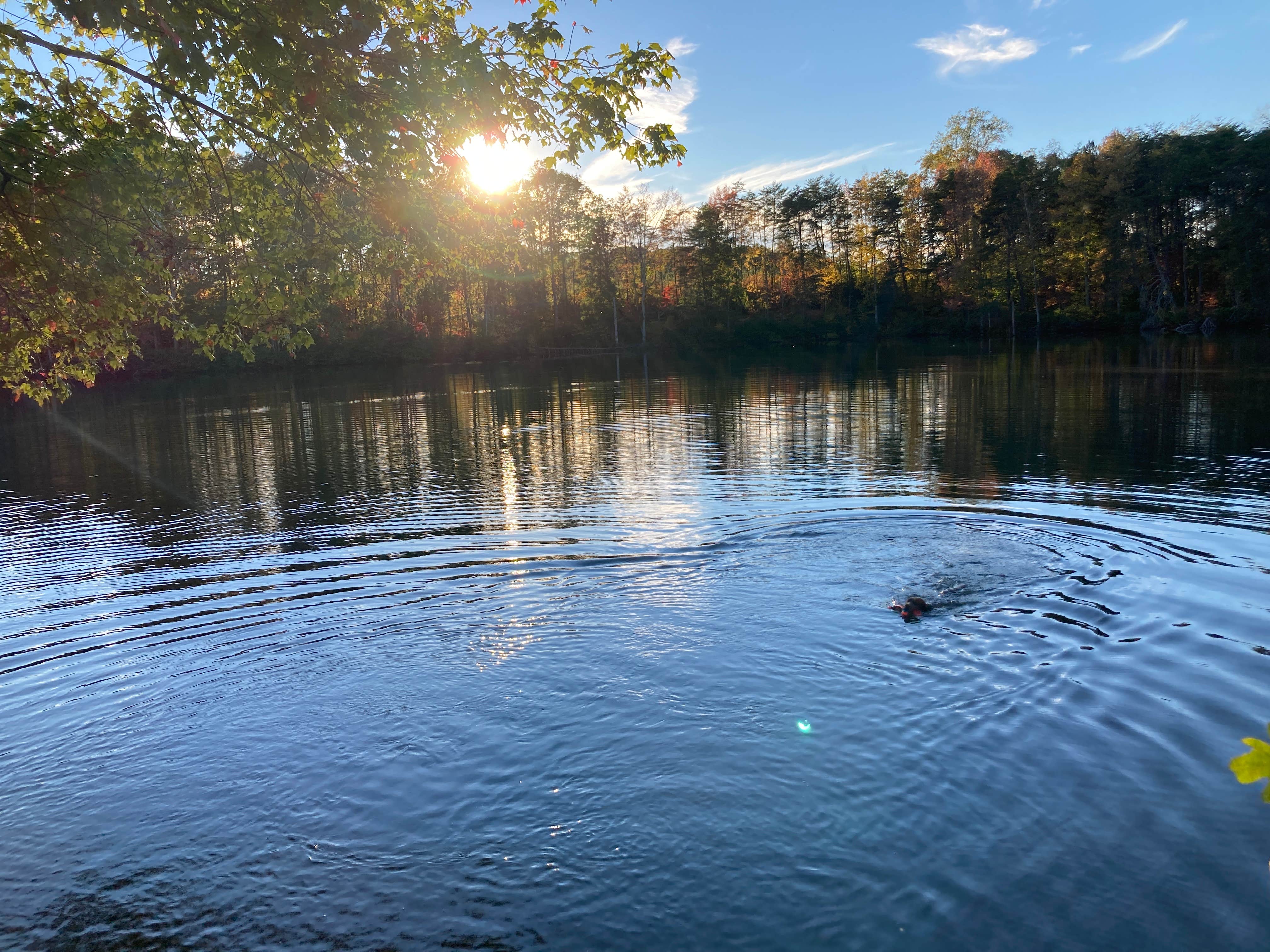 Camper submitted image from Paradise Lake & Campground - 5