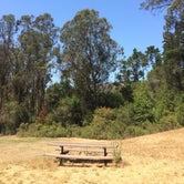 Review photo of East Bay Regional Park District Del Valle Family Campground by Stuart K., October 28, 2021
