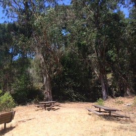 You'll find benches and picnic tables scattered throughout