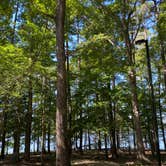 Review photo of East Bay Regional Park District Del Valle Family Campground by Stuart K., October 28, 2021