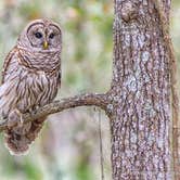 Review photo of Otter Springs Resort Park and Campground by Thomas R., October 28, 2021