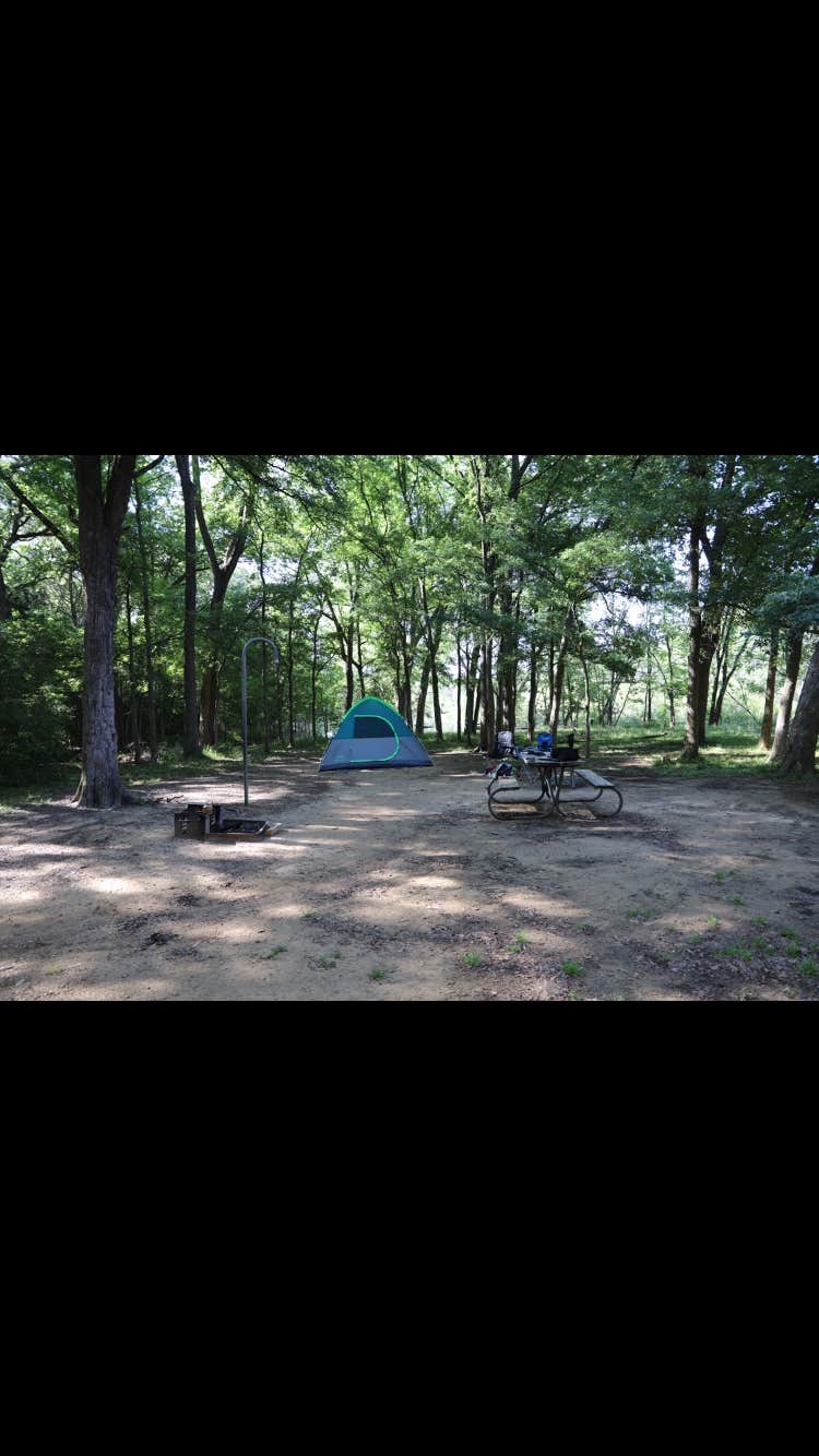 Amy E.'s photo at Buescher State Park Campground near Bastrop, TX