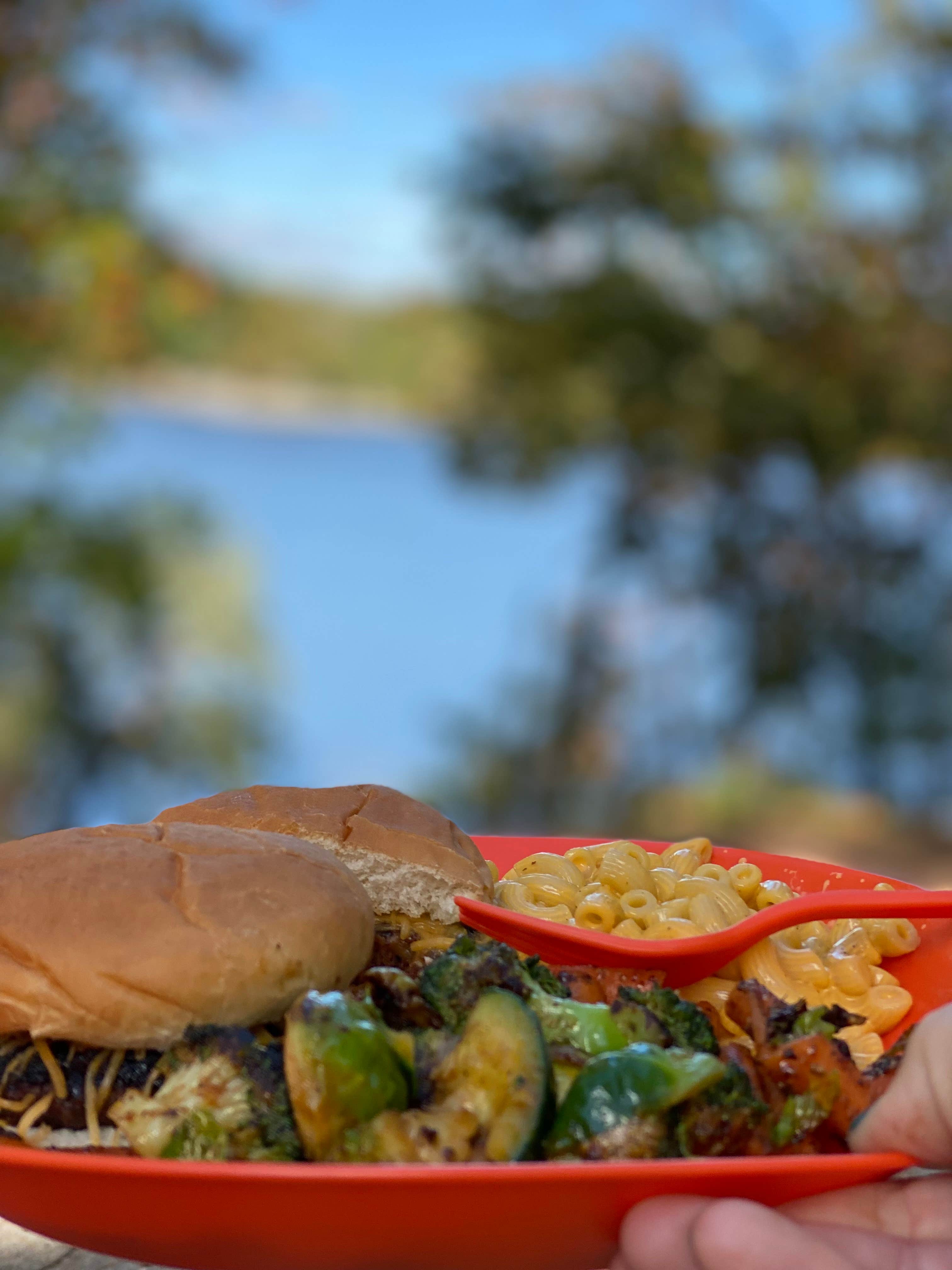 Jennifer's photo of camping with pets at South Sandusky Campground near Bonnie, IL