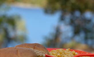 Jennifer's photo of camping with pets at South Sandusky Campground near Bonnie, IL