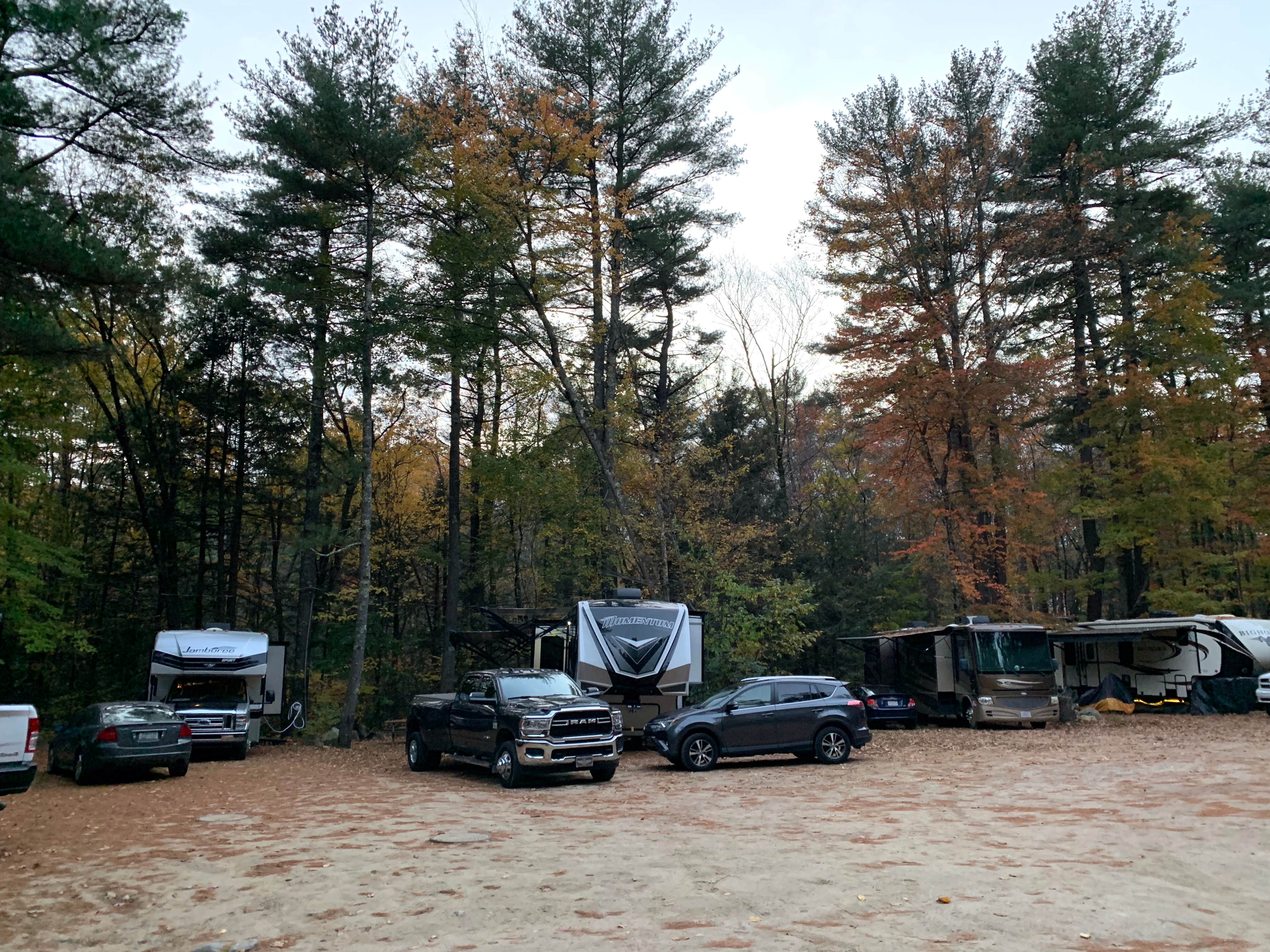 Camper submitted image from The Pines Camping Area - 5