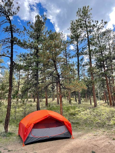 Christopher B.'s photo at Blue Mountain Campground near Florissant, CO