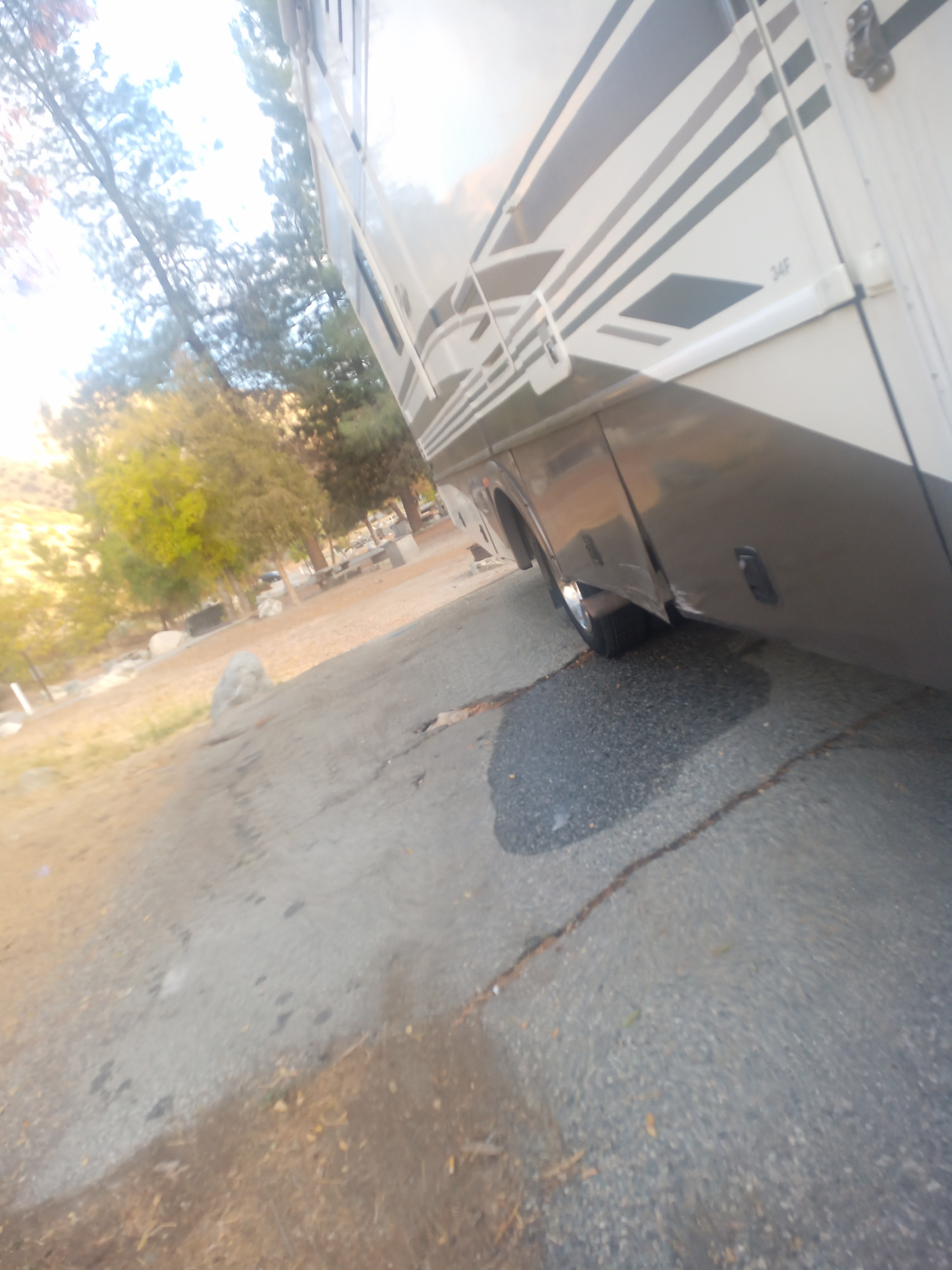 Camper submitted image from Olive Dell Ranch - 1