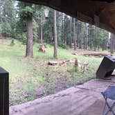 Review photo of Lincoln National Forest Slide Group Campground by Ron G., October 28, 2021