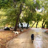 Review photo of Wheeler Gorge Campground by Frankie L., October 29, 2021